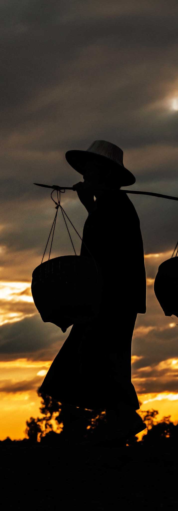 farmer is walking with basket in field at sunset.